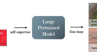 Toward Foundation Models for Earth Monitoring: Proposal for a Climate Change Benchmark featured image