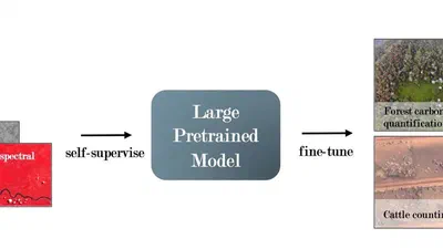 GEO-Bench: Toward Foundation Models for Earth Monitoring featured image