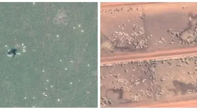Counting Cows: Tracking Illegal Cattle Ranching from High-Resolution Satellite Imagery featured image