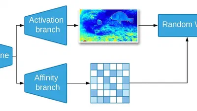 Weakly Supervised Underwater Fish Segmentation using Affinity LCFCN featured image